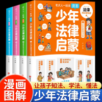正版新书]和大人一起读 少年法律启蒙(1-4)朱涛 编9787885435073