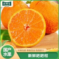 [苏鲜生]四川新鲜耙耙柑 净重5斤 单果75mm+ 产地精选 甜美多汁 坏果
