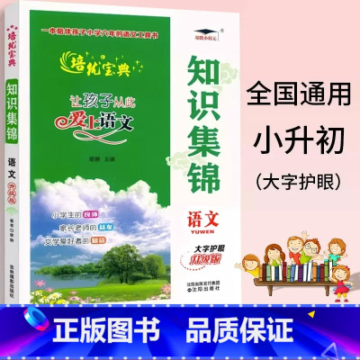 语文知识集锦 小学通用 [正版]2025新知识集锦语文升级版大字护眼全国版小学生1-6年级统编语文知识大全文学常识字词成