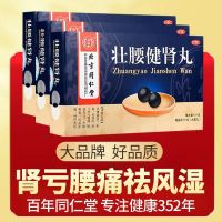 [2盒10天装]同仁堂 壮腰健肾丸 5.6g*10丸/盒 壮腰健肾 养血 祛风湿 肾亏腰痛 膝软无力 风湿骨痛 神经衰弱