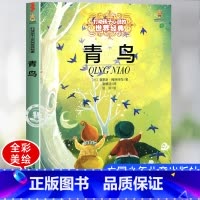 青鸟 [正版]青鸟图书 中国少年儿童出版社 三四五六年级阅读课外书必读老师文学童话故事书籍 小学生读物6-8-10-12