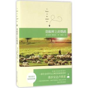 胡椒树上的鹦鹉