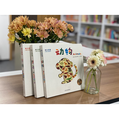 幼儿双语创意认知洞洞书 颜色 Colour