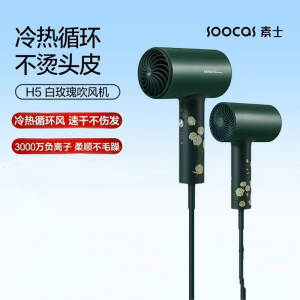 素士(SOOCAS)吹风机 H5复古绿 小米生态链精选 家用负离子护发便携电吹风1800W大功率恒温大风量速干吹风筒