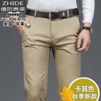 SUNTEK休闲裤男士2020秋季新款宽松直筒长裤子秋冬款弹力商务中年西裤男西裤