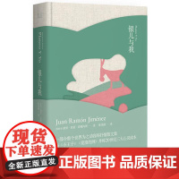 银儿与我 胡安?拉蒙?希梅内斯 陕西师范大学出版社 正版书籍
