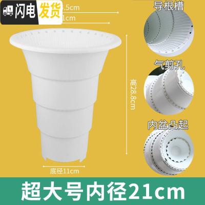 三维工匠透明兰花专用盆高透气双层控根塑料超紫砂陶瓷沥水罩兰花盆 口径21cm白色兰花内盆[气剪孔] 中等花盆容器