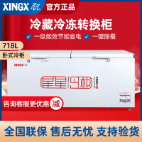 星星(XINGX) BD/BC-728GE 718升商用卧式大冷柜 冷藏冷冻转换柜 节能省电 断电保护 大冷冻力冰柜