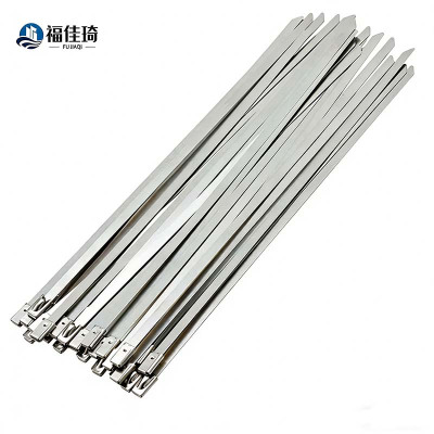 福佳琦 不锈钢扎带 4.6*500mm 根