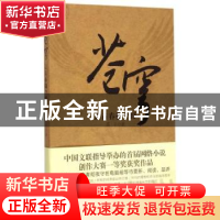 正版 苍穹:让青春撒个野 蔡平著 重庆出版社 9787229091910 书籍