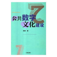 音像公共数字文化建设周浩著