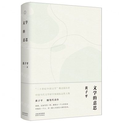 [N]文学的意思(精)-9787201181769