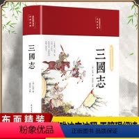 三国志 [正版]三国志HM文白对照青少版全本历史读物史诗著作史二十四史 中国通史战国秦汉世界名著历史课外书国学经典