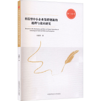 音像科技型中小企业集群创新的机理与效应研究冯朝军