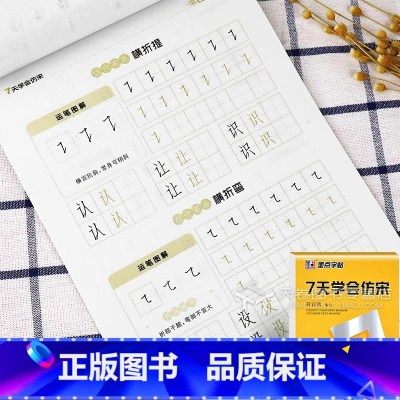 7天学会仿宋 [正版]仿宋字帖练字 宋体钢笔字帖大学生成人练字帖钢笔临摹字帖初学者手写漂亮硬笔书法教程标准仿宋体成年男练