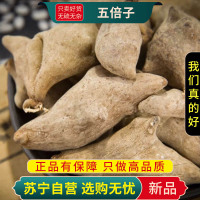 甄选五倍子100克干货煮水泡茶盐肤木红叶桃五倍子正品新货无硫