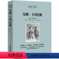 [中英互译]安娜.卡列尼娜 [正版]世界十大名著全套中英文10册简爱傲慢与偏见飘巴黎圣母院悲惨世界呼啸山庄茶花女复活红与