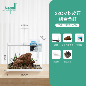 尼泊洱小鱼缸小型客厅办公室桌面创意迷你水族箱微型景观生态鱼缸