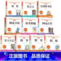 [全套10册]鲁迅作品全集 [正版]狂人日记鲁迅原著原版名师导读带批注配套考点人民教育出版社语文配套阅读立人主编成都地图