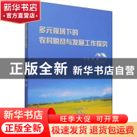 正版 多元视域下的农村脱贫与发展工作探究 周翠 中国纺织出版社
