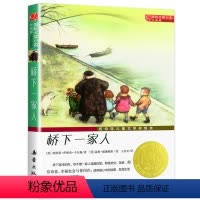 桥下一家人 [正版]兔子坡注音版二年级 6-7-8-9-10-12岁一二三四年级小学生课外阅读物图书儿童文学小说故事书