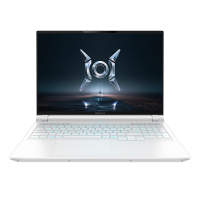 荣耀MagicBook WIN H9 游戏本 2026新款16英寸高刷高性能电竞商务办公笔记本电脑 UItra9-290HX 16G内存 1T固态 RTX5060 3K超清 白