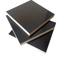 浪伍 建筑模板 915*1830*17mm /张