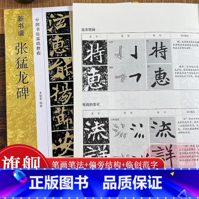 张猛龙碑 新书谱 [正版]张猛龙碑(高清原碑帖+技法教程) 新书谱书法基础教程 基本笔画结构/偏旁部首/简体旁注 魏碑成