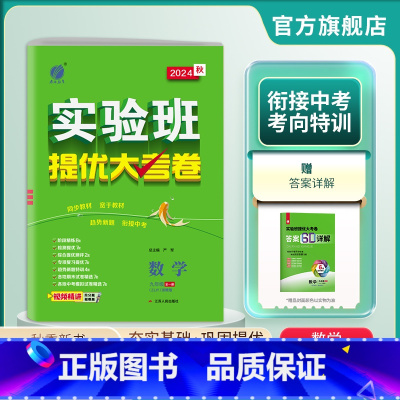 数学 九年级/初中三年级 [正版]2024年秋 初中数学实验班提优大考卷九年级全一册浙教版9年级全册ZJJY单元基础巩固