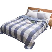 三水依梦 色织亲肤夏被 200*230cm 条