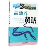 [N]高效养黄鳝(双色印刷)/高效养殖致富直通车-9787111434481