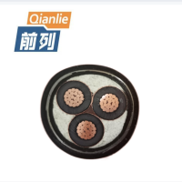 前列 铜芯交联电缆ZC-YJV-0.6/1KV-3×16mm² 米