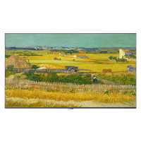 创维(SKYWORTH) 75Q7D 4+64G 240HZ高刷壁纸电视