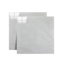 璐盐 瓷砖地砖 LY-C01 ㎡