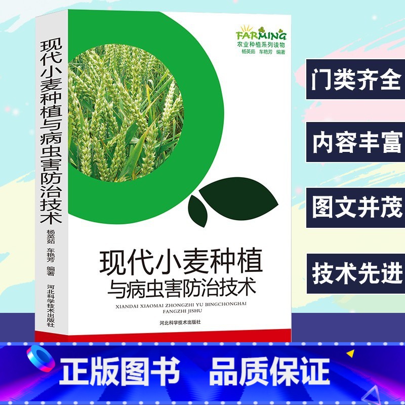 [正版]现代小麦种植与病虫害防治技术农业种植标准化生产优质品质选择播种管理施肥与创新技术冬小麦安全储存技术病虫害防治方法