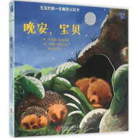 音像晚安,宝贝(德)萨宾娜·库诺 著;(德)阿娜·维勒 绘;褚祎柰 译