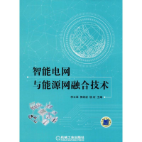 [M]智能电网与能源网融合技术-9787111594895