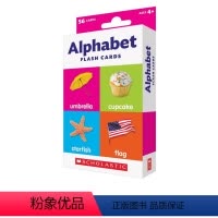 [正版]英文原版 Scholastic Flash Cards Alphabet 儿童早教自然拼读 字卡卡片闪卡