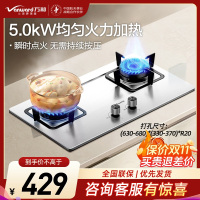 万和(Vanward)[小灶君]B6液化气燃气灶具钢化玻璃煤气炉双灶嵌入式4.5kW家用猛火家用 B6B60