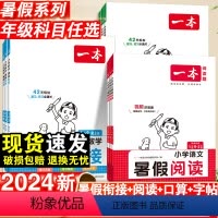 暑假衔接+阅读+口算+字帖·人教版-6本套 小学三年级 [正版]暑假作业一年级二年级三四五年六年级下册人教版小学语文阅读