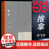 推拿 毕飞宇 第8届茅盾文学奖获奖作品 毕飞宇著 盲人题材的长篇小说 深入到这一特殊群体的心灵 人民文学出版社 正版书