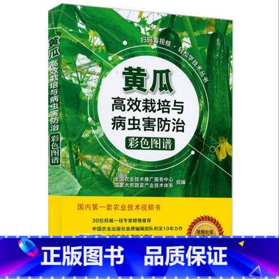 [正版]黄瓜高效栽培与病虫害防治彩色图谱 蔬菜病虫害诊断与防治 黄瓜高效种植新技术 黄瓜栽培关键技术书籍 扫码看视频轻
