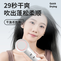 荣事达电吹风RC-DZ260