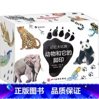 记忆大比拼.动物和它的脚印 [正版]记忆大比拼 动物和它的脚印 儿童益智游戏专注力观察力训练彩色插图卡牌博物科普自然书籍