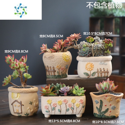 多肉植物盆栽组合价格 多肉植物盆栽组合最新报价 多肉植物盆栽组合多少钱 苏宁易购