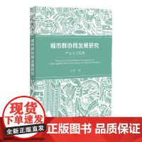 正版 城市群协同发展研究:产业分工视角 汪彬 著 社会科学文献出版社 9787522820774