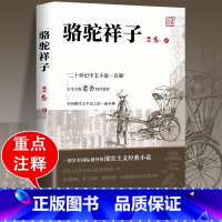 [人民文学]骆驼祥子 [正版]昆虫记法布尔 原著人民文学出版社 三四年级必读七八年级上册初中生8上完整版节选人教版初二课