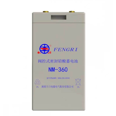 丰日 蓄电池 阀控式密封铅酸蓄电池 NM-360 只