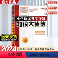 [正版]2024版小学语文毕业升学夺冠知识大集结小升初知识考点大全夺冠总复习