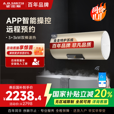 AO史密斯60升电热水器 金圭内胆 晶彩设计 手机预约 双棒双3kW速热 E60VNP APP智控